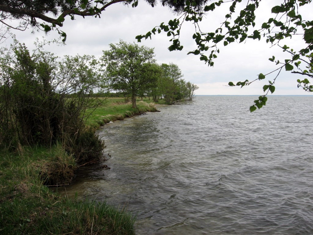 Duitsland Elly (59)